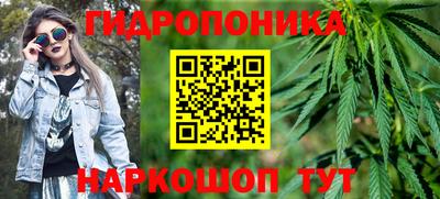 сатива Тула