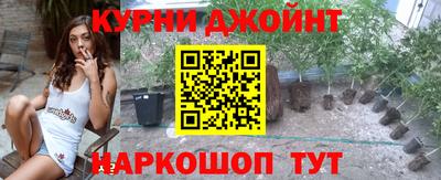 сатива Тула
