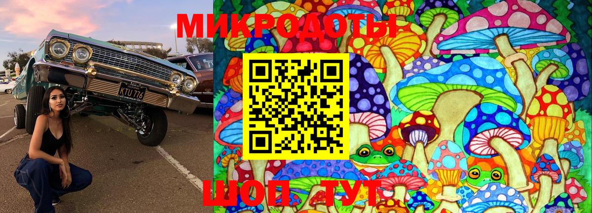 Новосибирск  Псилоцибиновые грибы Psilocybe  наркотики  Вход с VPN 